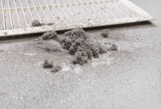 Best Residential Air Duct Cleaning  in Decorah, IA