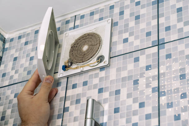 Best Air Duct Mold Removal  in Decorah, IA