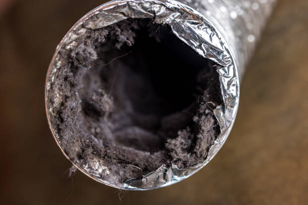 Best HVAC Duct Inspection Services  in Decorah, IA