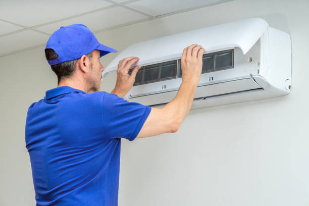 Air Duct Mold Removal in Decorah, IA