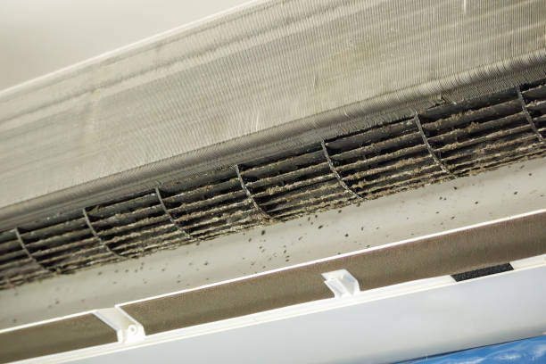 Best Air Duct Cleaning Near Me  in Decorah, IA